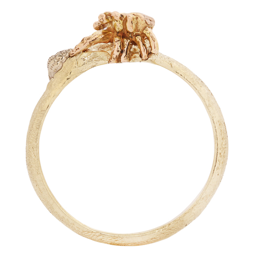 Crab Stacking Ring