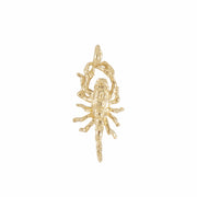 Scorpion Charm