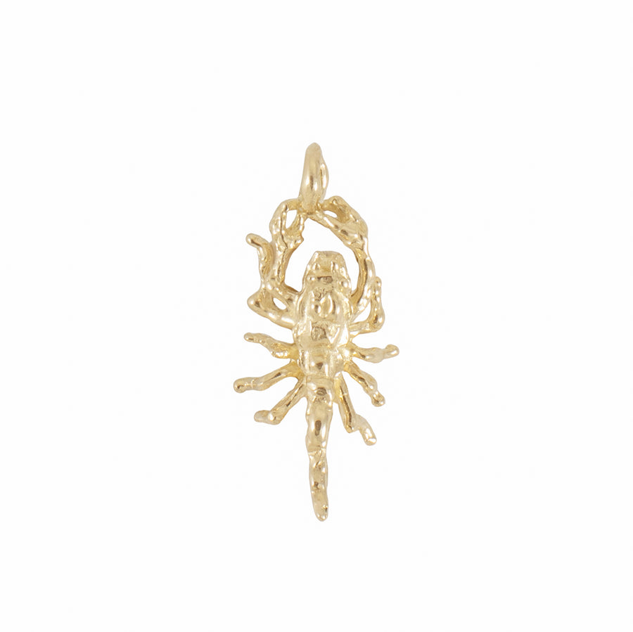 Scorpion Charm