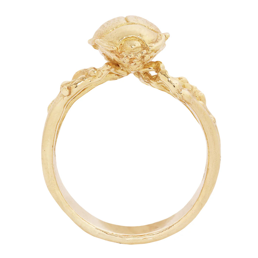 Desert Beetle Ring