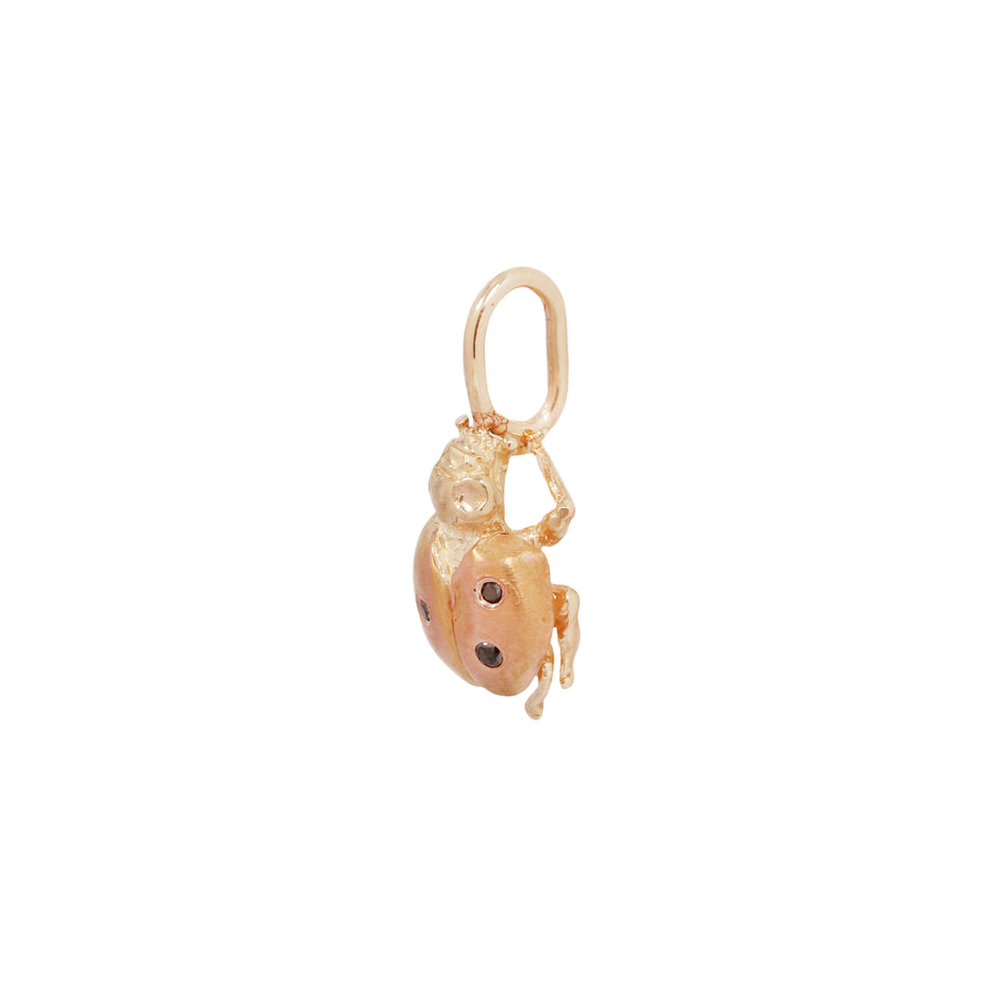 Ladybug Charm