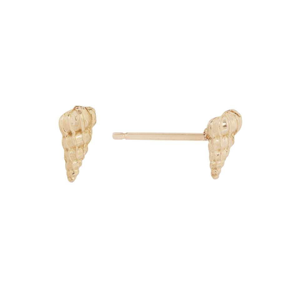 Large Wentletrap Seashell Studs