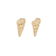 Large Wentletrap Seashell Studs