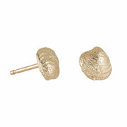 Seashell Studs