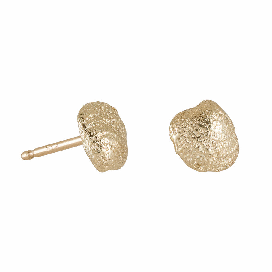 Seashell Studs