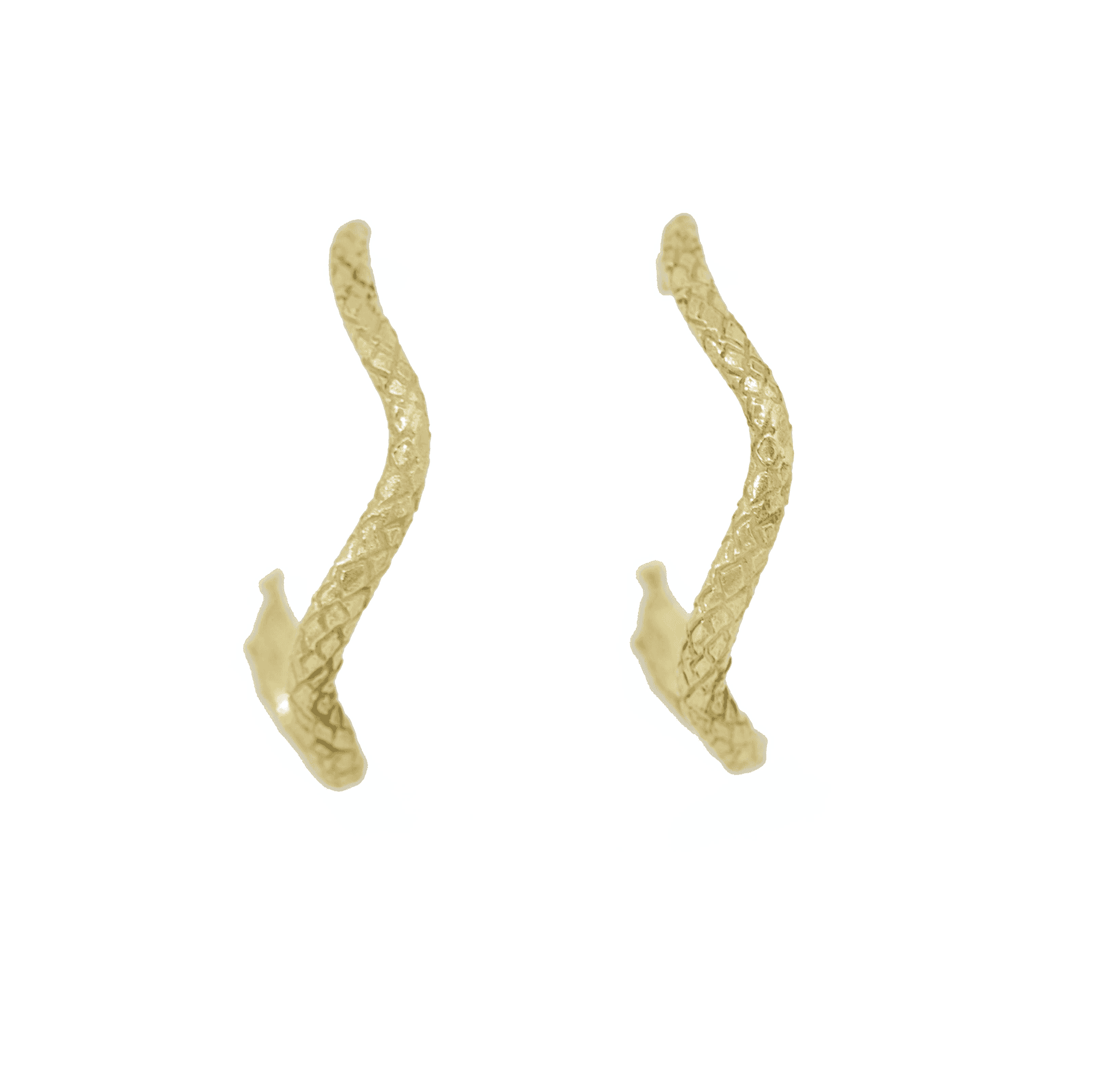 Ichos Hoop Earrings