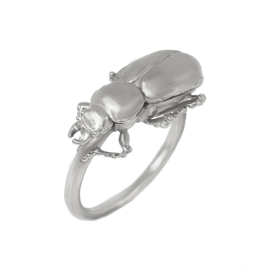 Pinacate Beetle Ring