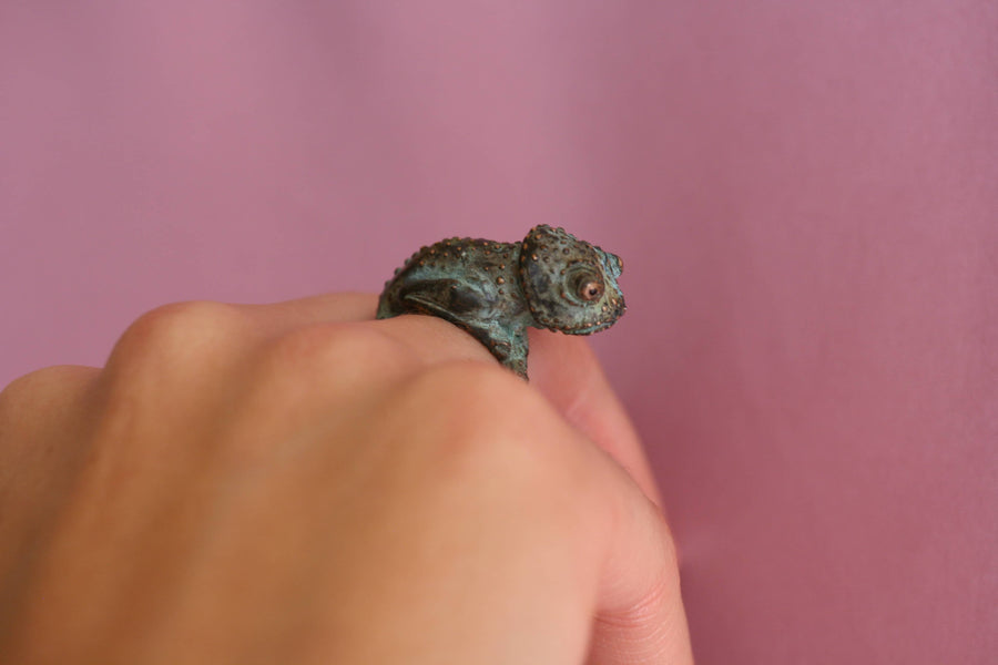 Medium Sized Chameleon RIng
